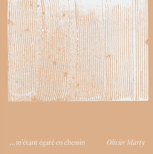 ... M'ETANT EGARE EN CHEMIN