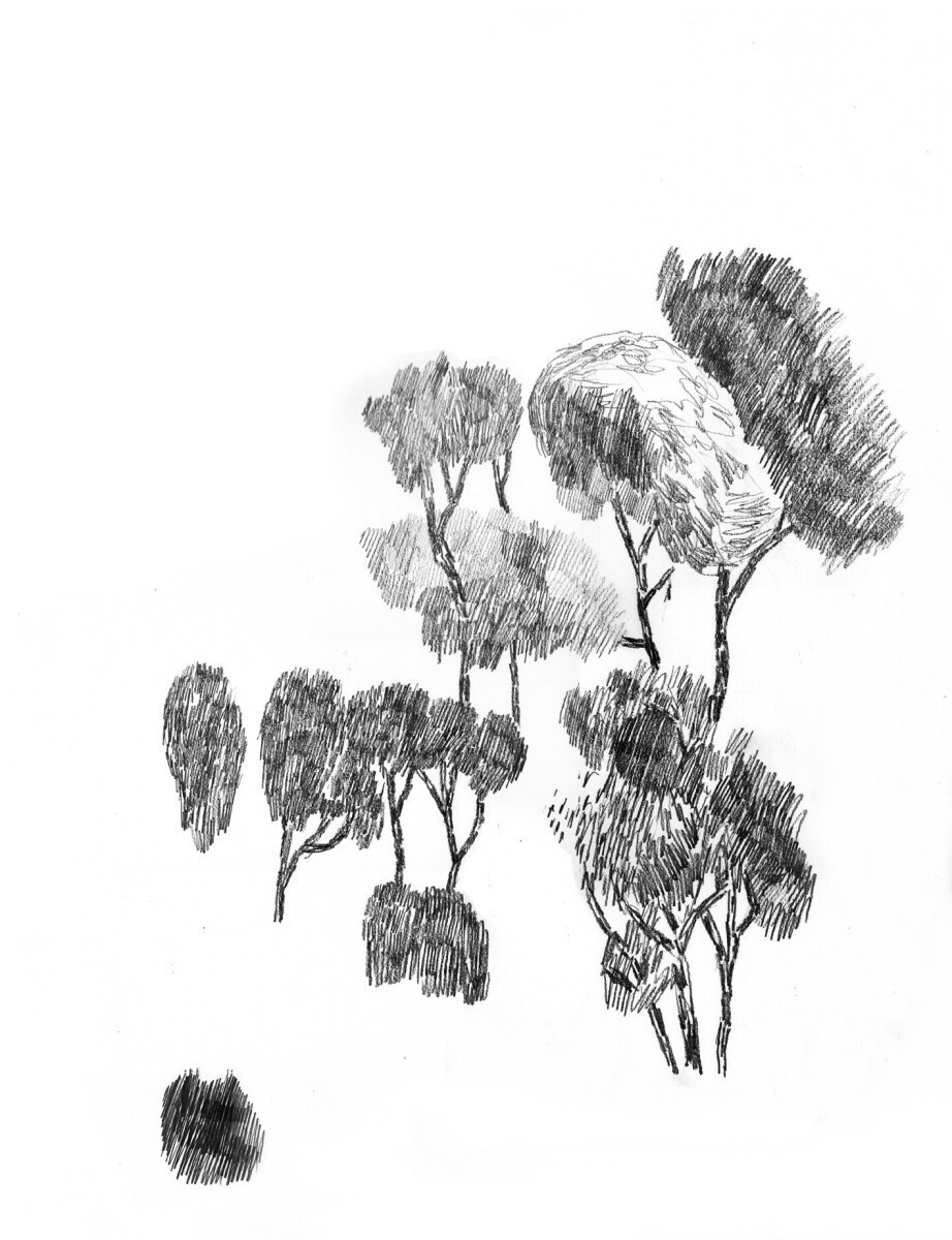 PINEDE 3 72dpi.jpg